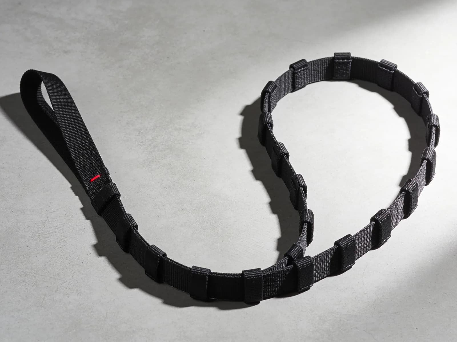 Stretch Strap — 78 in nylon web, ten numbered loops.